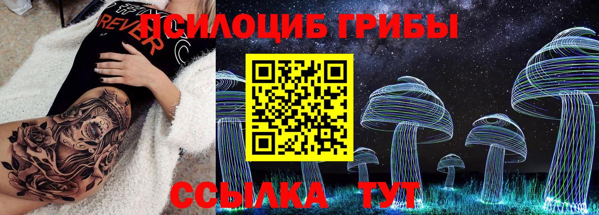 Псилоцибиновые грибы Psilocybine cubensis Вичуга